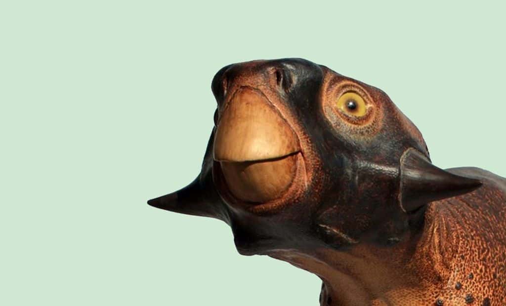 Psittacosaurus
