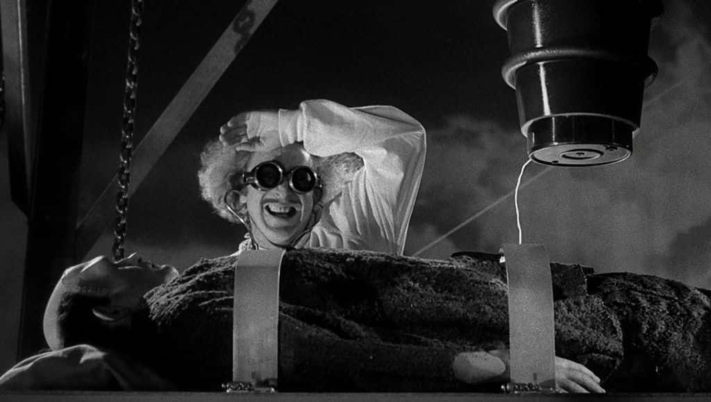 from Young Frankenstein Movie
