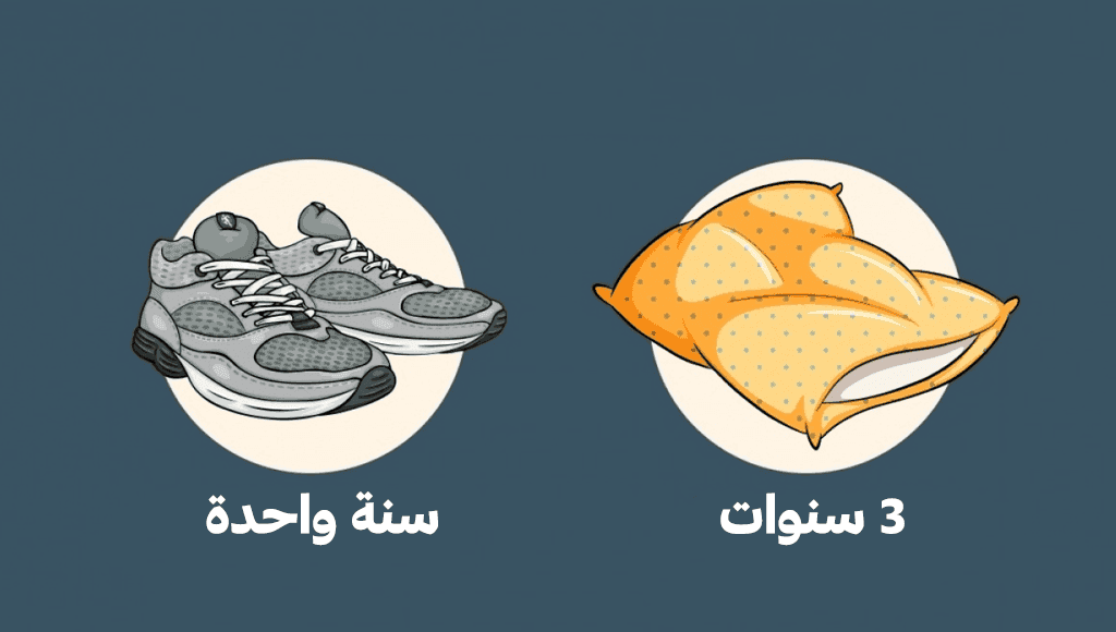 تاريخ إنتهاء صلاحية