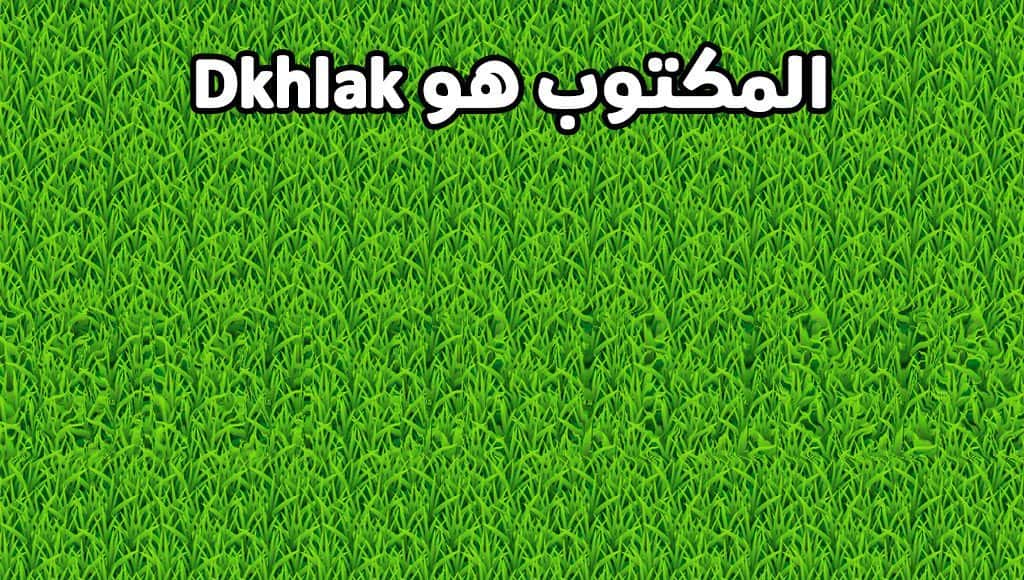 آلية عمل الصور الخادعة للبصر