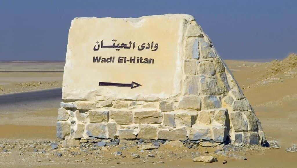 وادي الحيتان في مصر