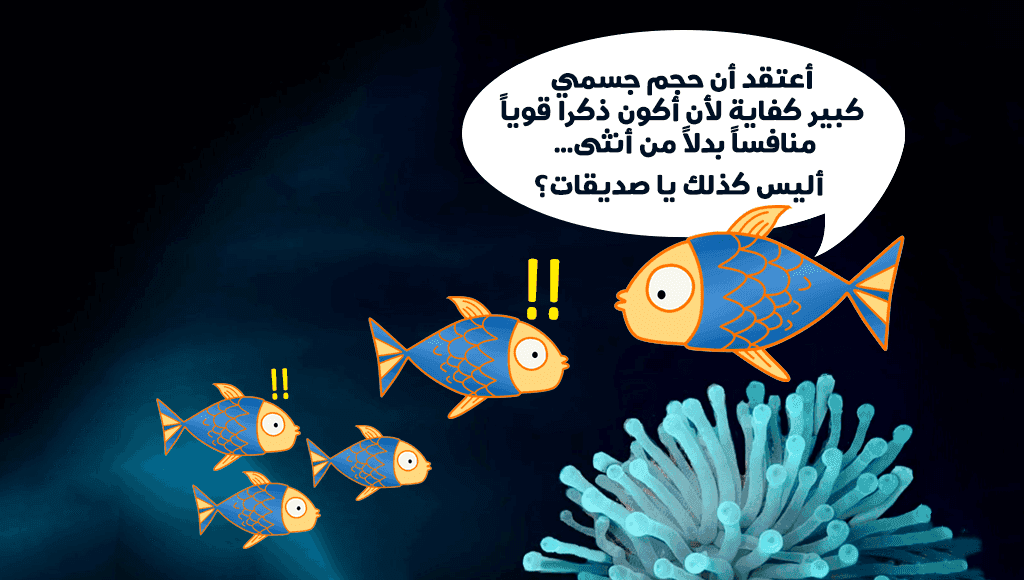 لماذا تغير بعض أنواع الأسماك جنسها؟