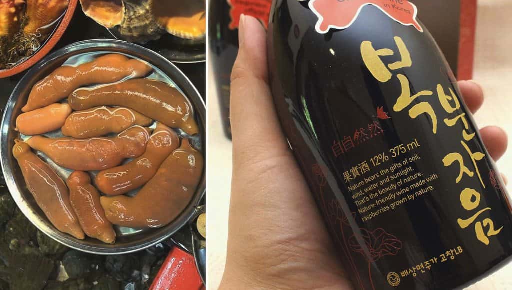 سمكة القضيب كوريا الجنوبية