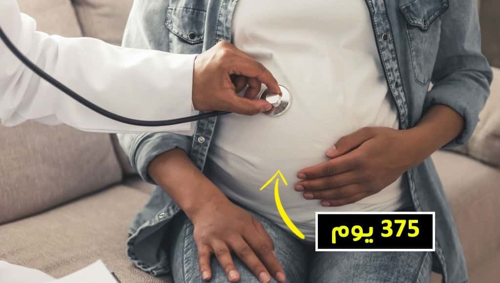 28 حقيقة مدهشة عن الحمل نراهن أنك لا تعرفها