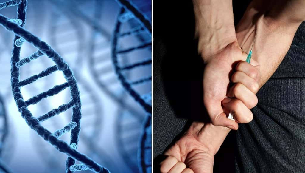 طالب في الثانوية يحقن نفسه بحمض نووي DNA مُعدّ من آيات من الإنجيل والقرآن
