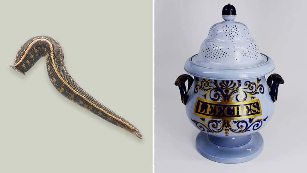 leech jars
