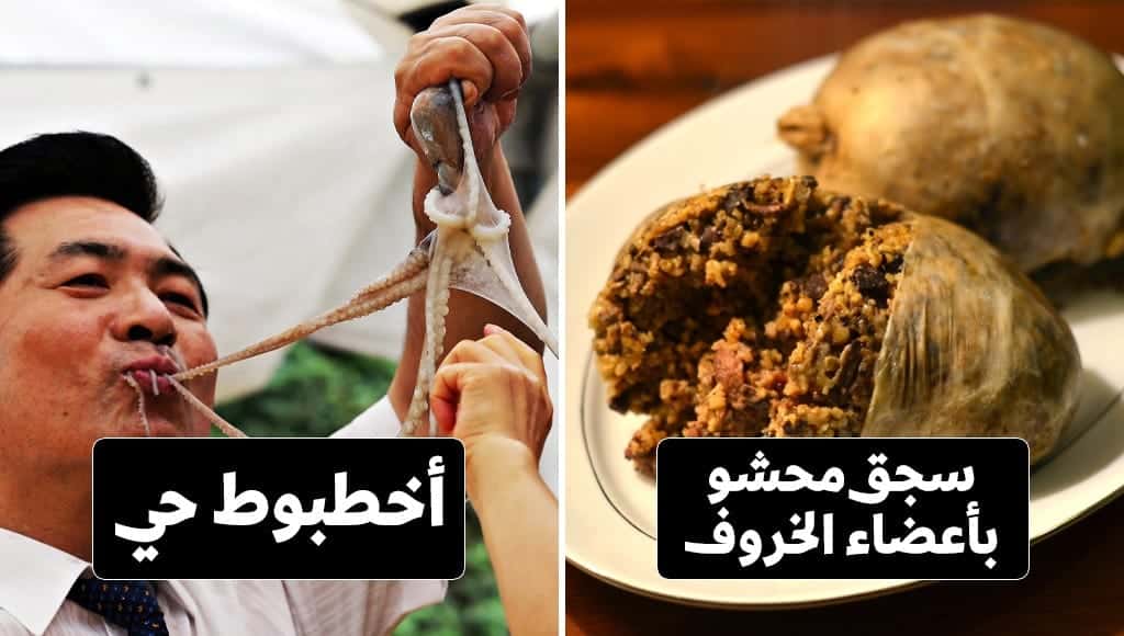 تعرّف على أغرب أنواع الأطباق الشعبية حول العالم