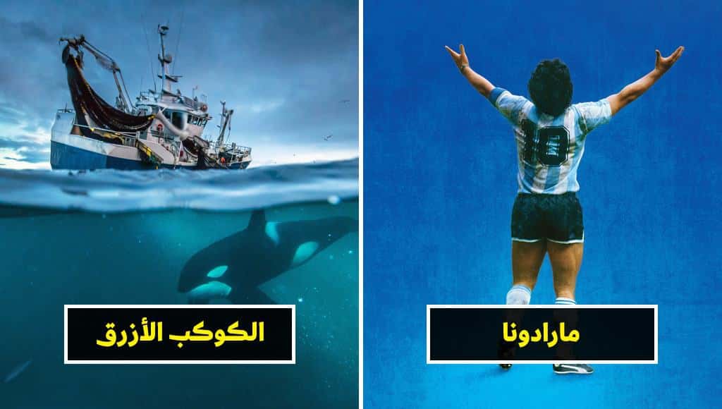 إليكم عشرات الأفلام الوثائقية الرائعة والمتنوعة، والتي تستحق المتابعة!