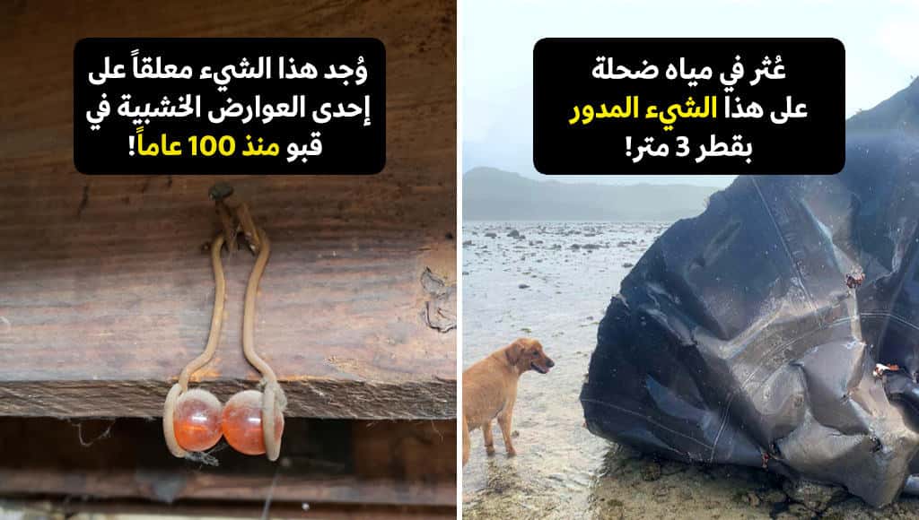 40 شيئا صادفه الناس ولم يكن لديهم أدنى فكرة عما ينظرون إليه قبل استعانتهم بالمحققين الهواة على الإنترنت