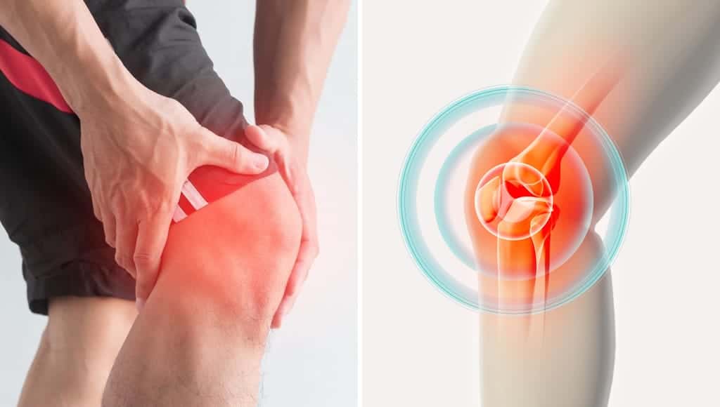 لماذا تعتبر الركبة البشرية كارثة من ناحية التصميم؟