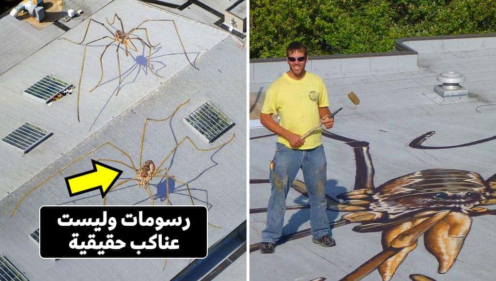 5 فنانين استخدموا مواهبهم في العبث والخداع