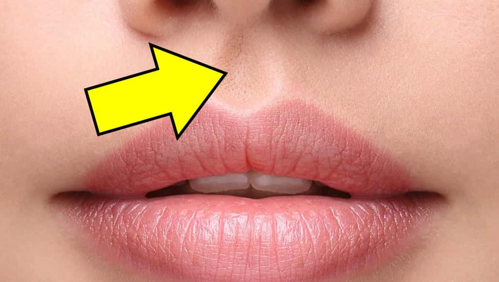 لماذا نملك أخدوداً صغيراً تحت أنوفنا؟