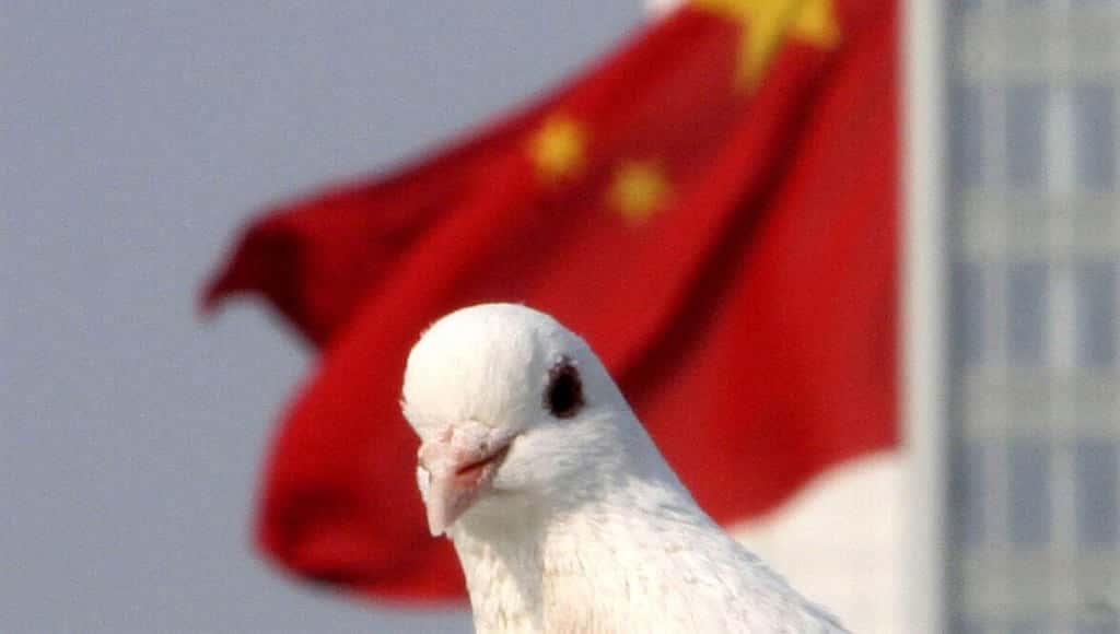 حمامة في الصين