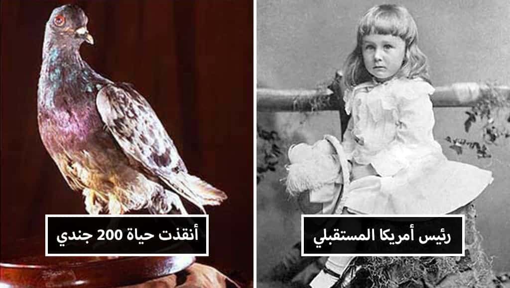 10 صور قد تبدو عادية لكنها تحمل قصصا مذهلة