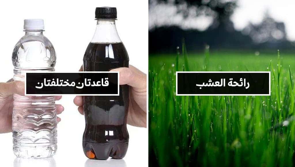 10 حقائق ممتعة ستتكاسل في البحث عن سببها في غوغل