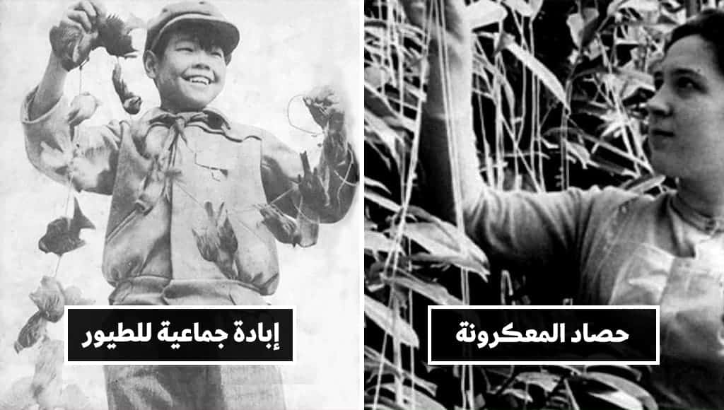 10 قصص حقيقية تروي لنا كيف إن الغباء البشري ظاهرة اجتماعية معدية
