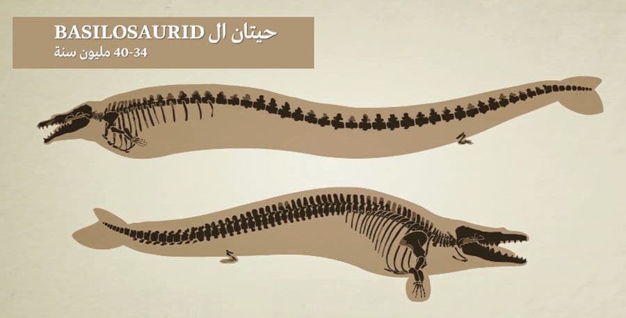 تطور