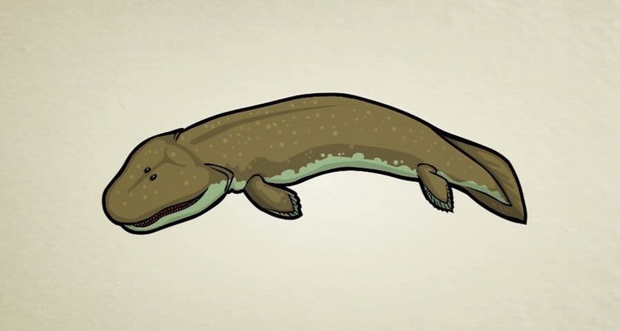 تطور