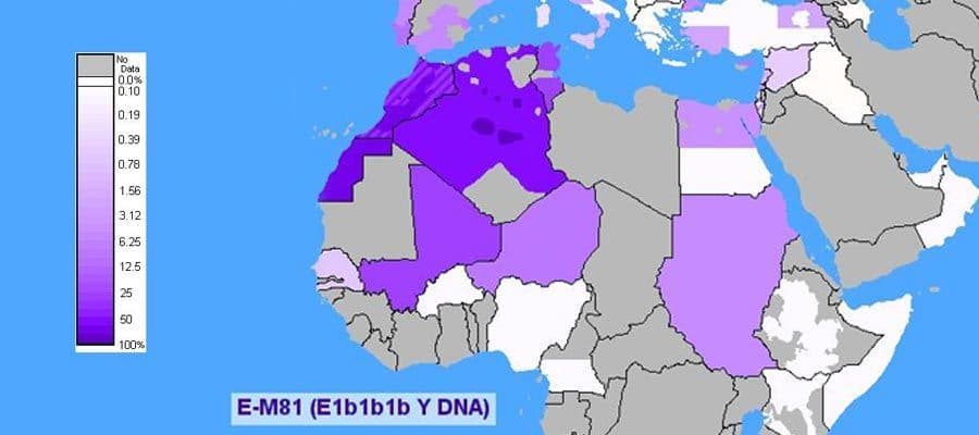 اصل الامازيغ
