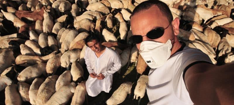 فيروس كورونا