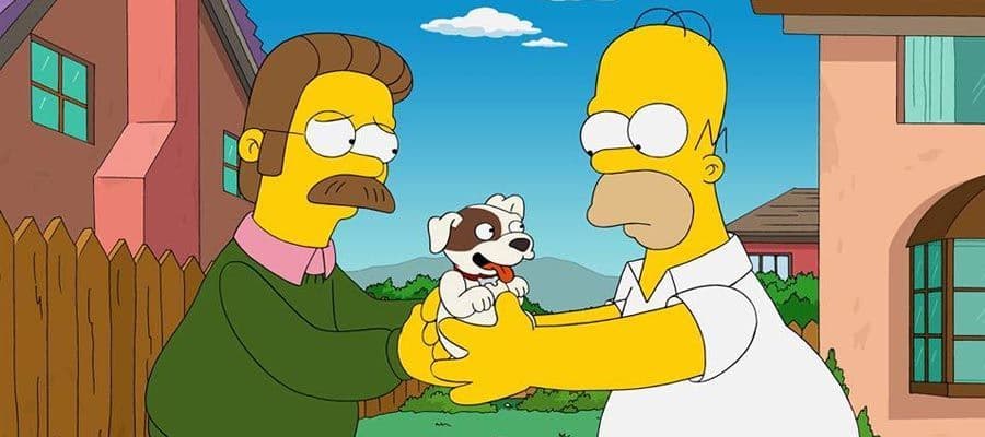 الجار Ned flanders
