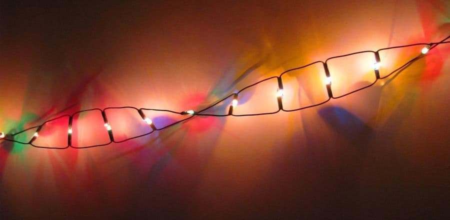 dna