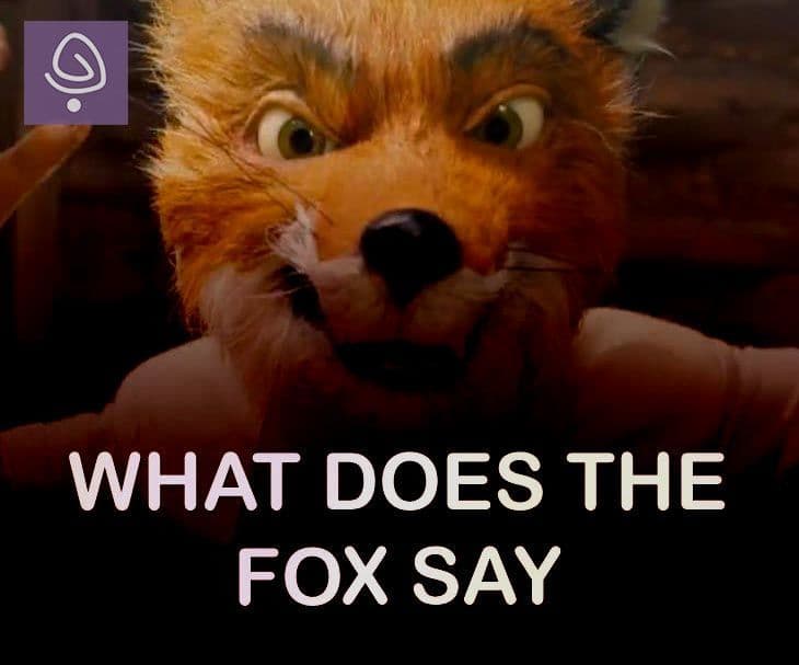 What does the fox say?