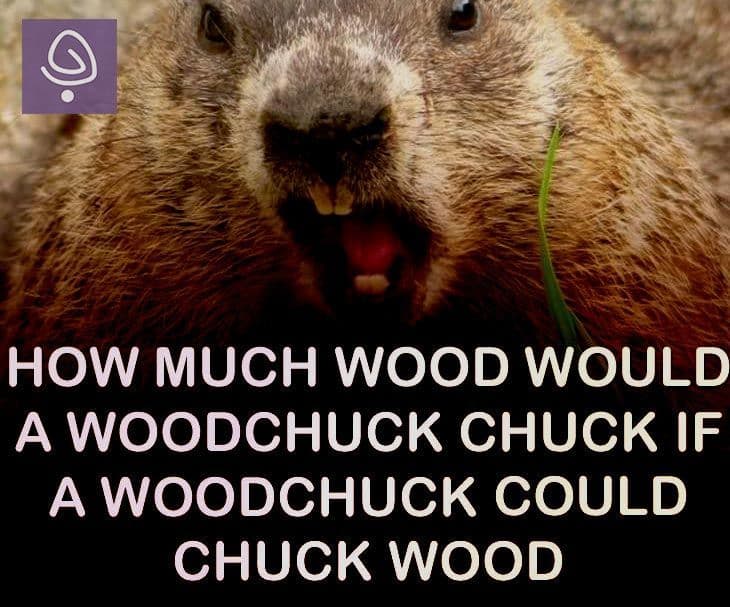 How much wood would a woodchuck chuck if a woodchuck could chuck wood