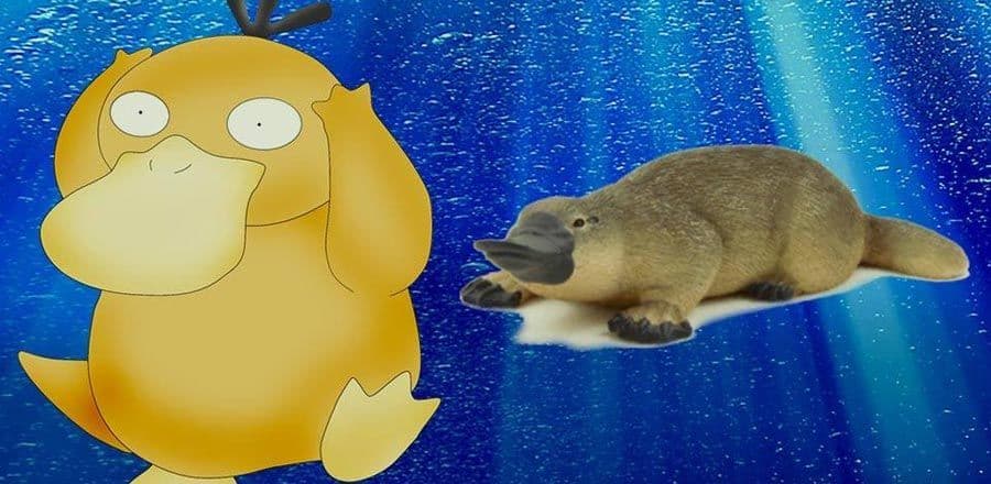 سايداك (Psyduck)