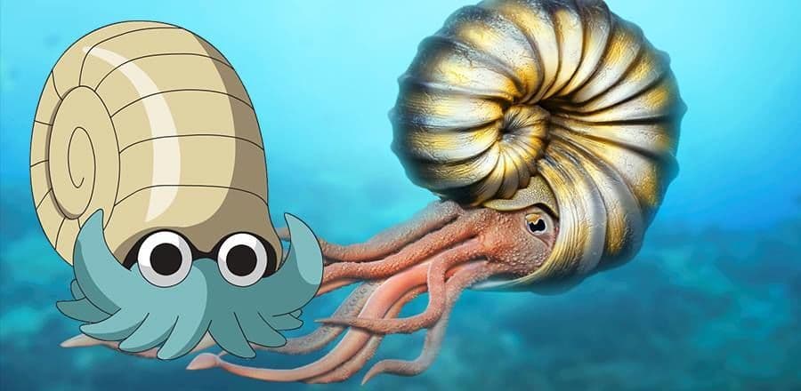 أومانيت (Omanyte)