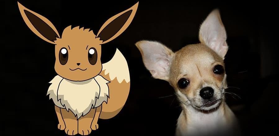 إيفي (Eevee)