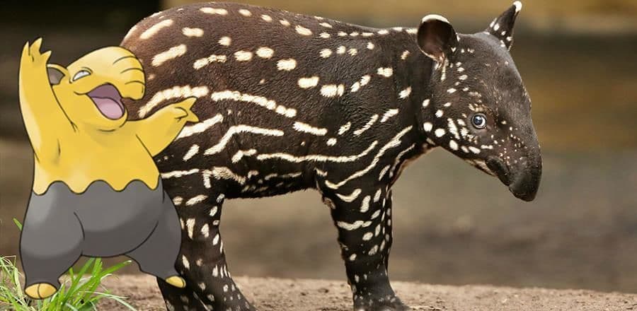 دراوزي (Drowzee)