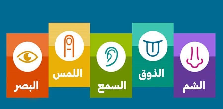 5 حواس