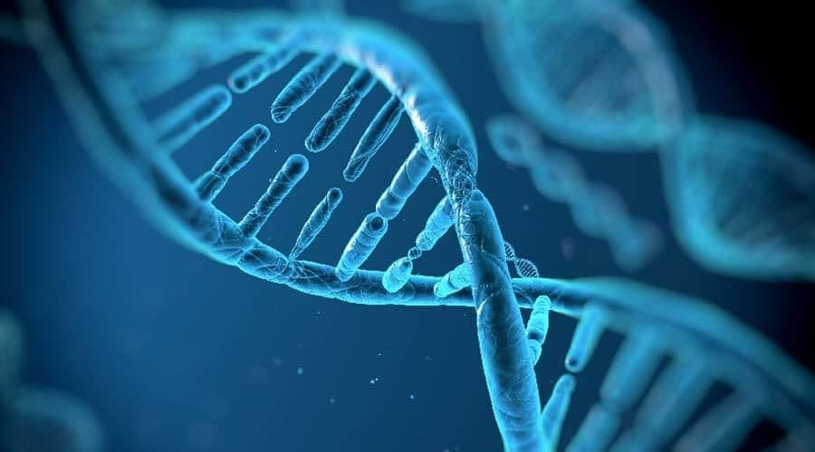 الـDNA 