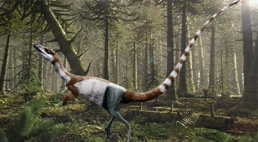 السيناصوروبتركس Sinosauropteryx
