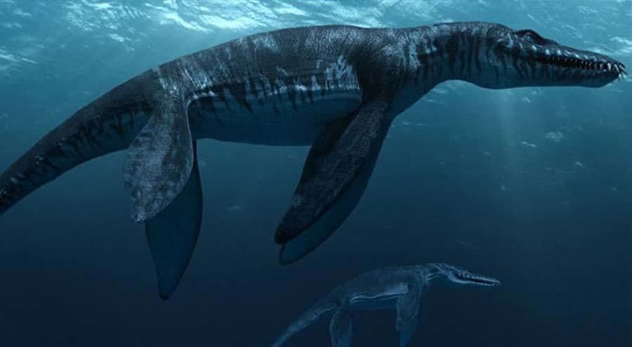 ليوبلورودون Liopleurodon