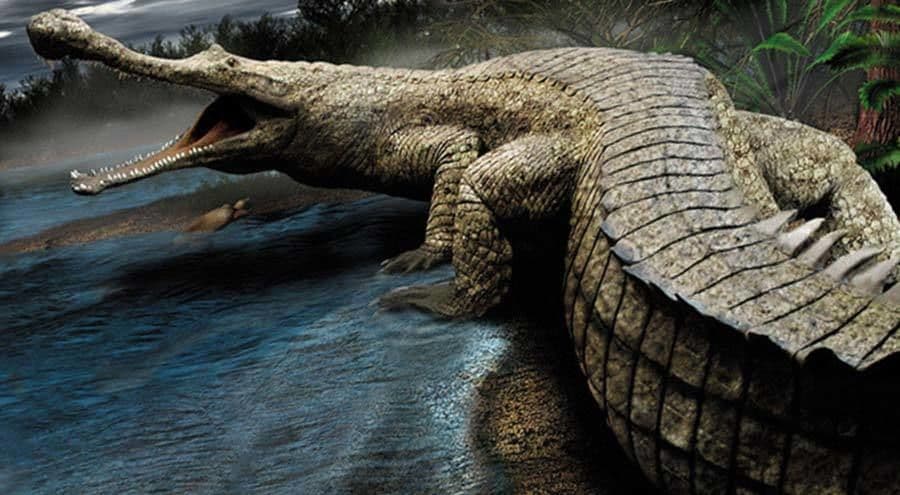 ساركوسوشوس Sarcosuchus