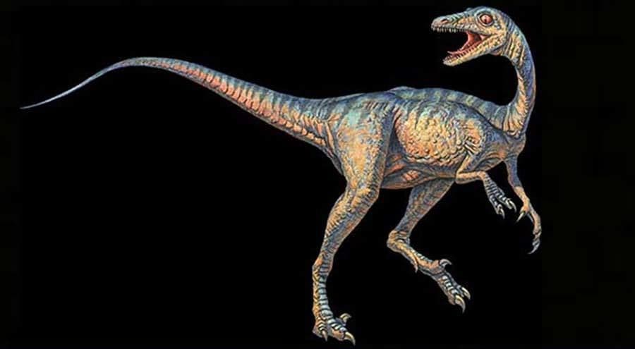 ترودون Troodon