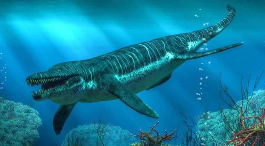 كرونوصورس Kronosaurus
