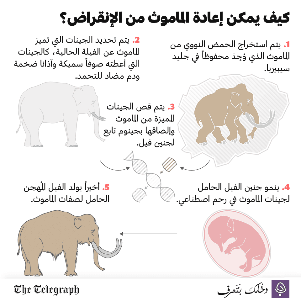 كيف يمكن اعادة الماموث من الانقراض