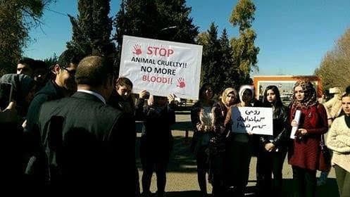 تنظيم احتجاج بسيط من قبل الطلبة