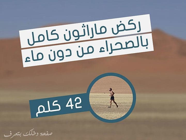 ويم هوف