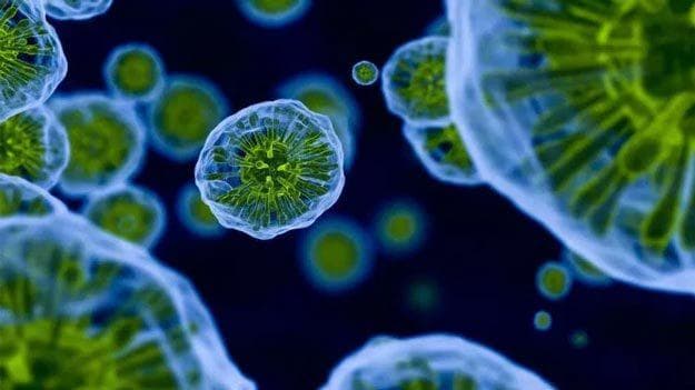 فيروس العوز المناعي HIV