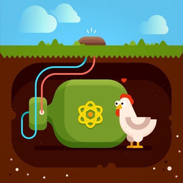 الدجاج النووي