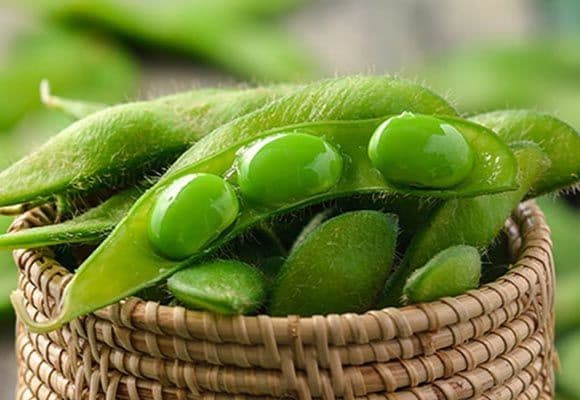 فول الإداماميه