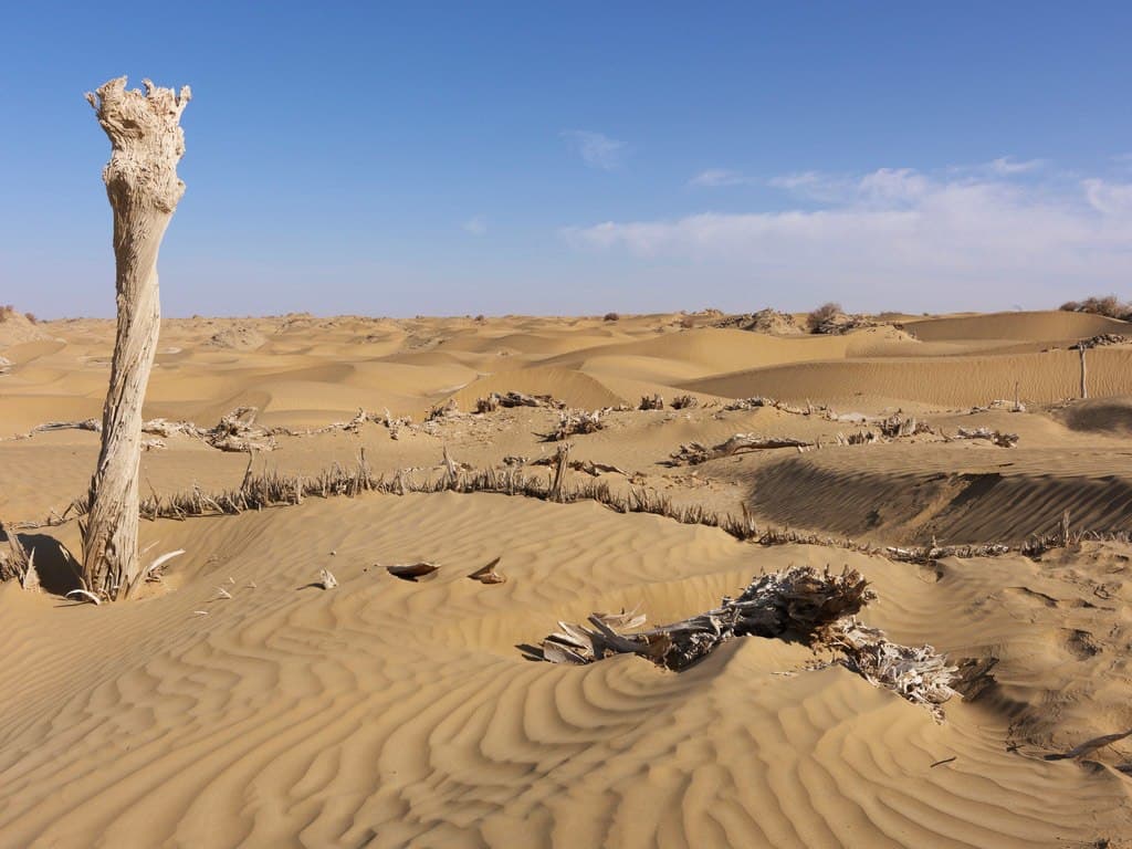 حضارة (نيا)