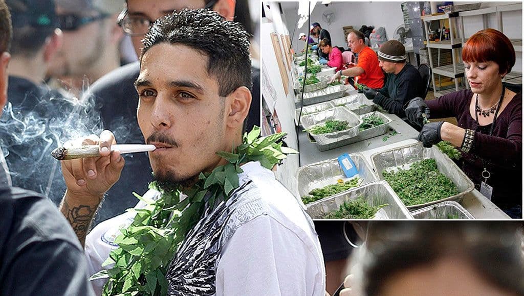 تدخين الحشيشة في الأماكن العامة