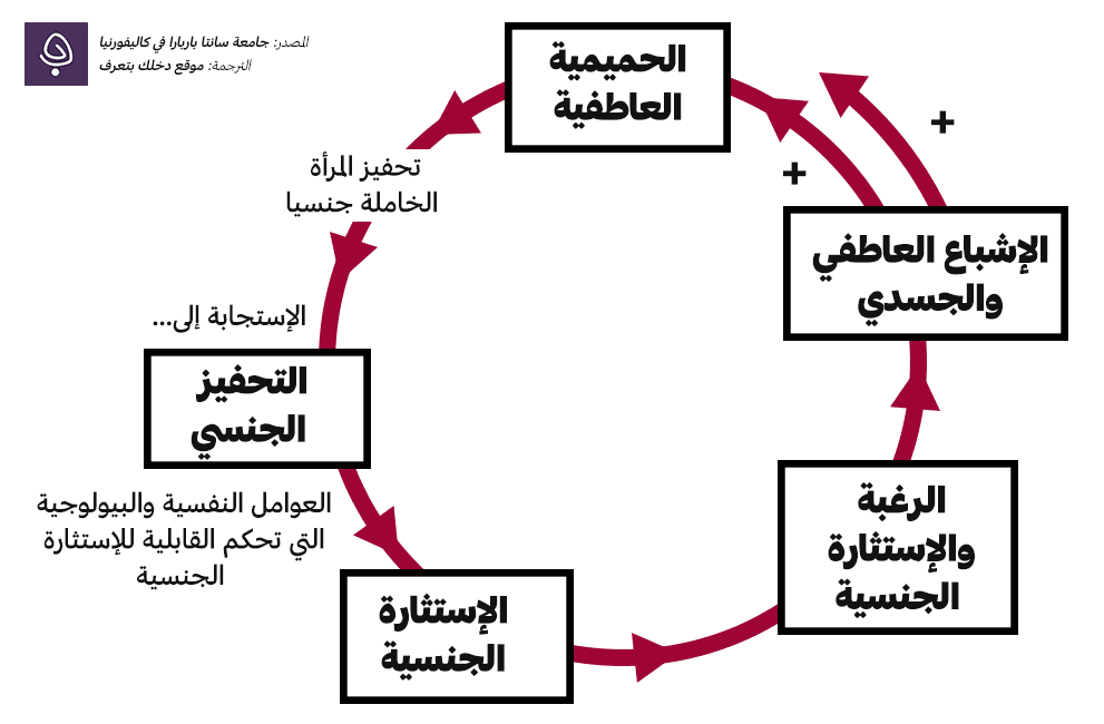 نموذج ”ماسترز وجونسون“ ذو المراحل الأربعة