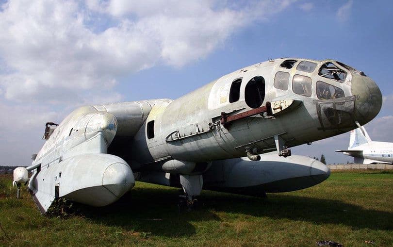 The Bertini Beriev VVA 14