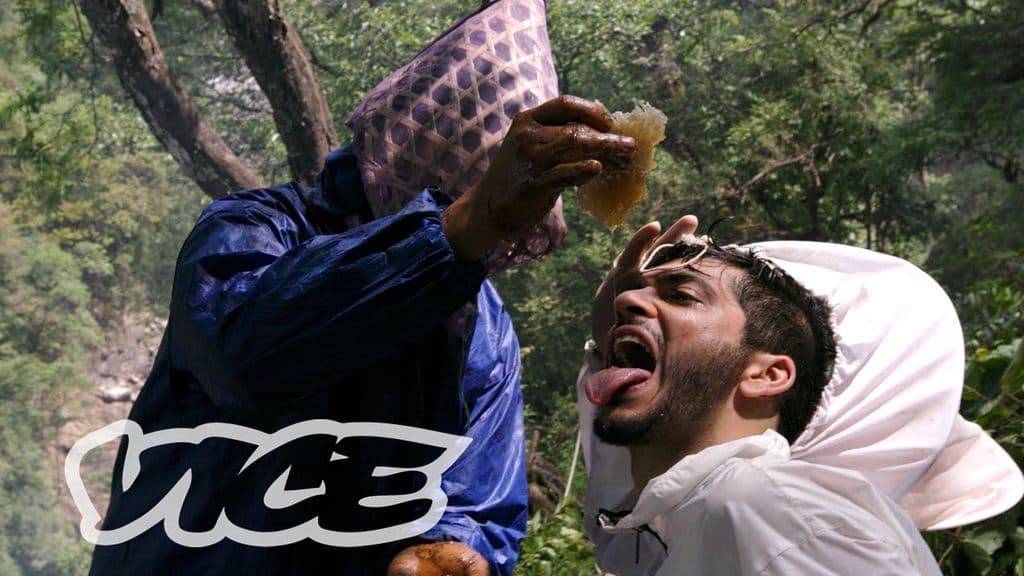”دايفيد كابرارا“ من موقع ”Vice“